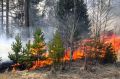 В Севастополе в начале сентября ожидается 5-й класс пожарной опасности