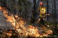 В Крыму потушили 84 пожара за прошедшую неделю