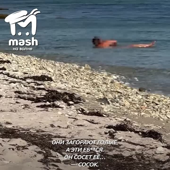 Секс на общественном пляже: 74 отборных роликов