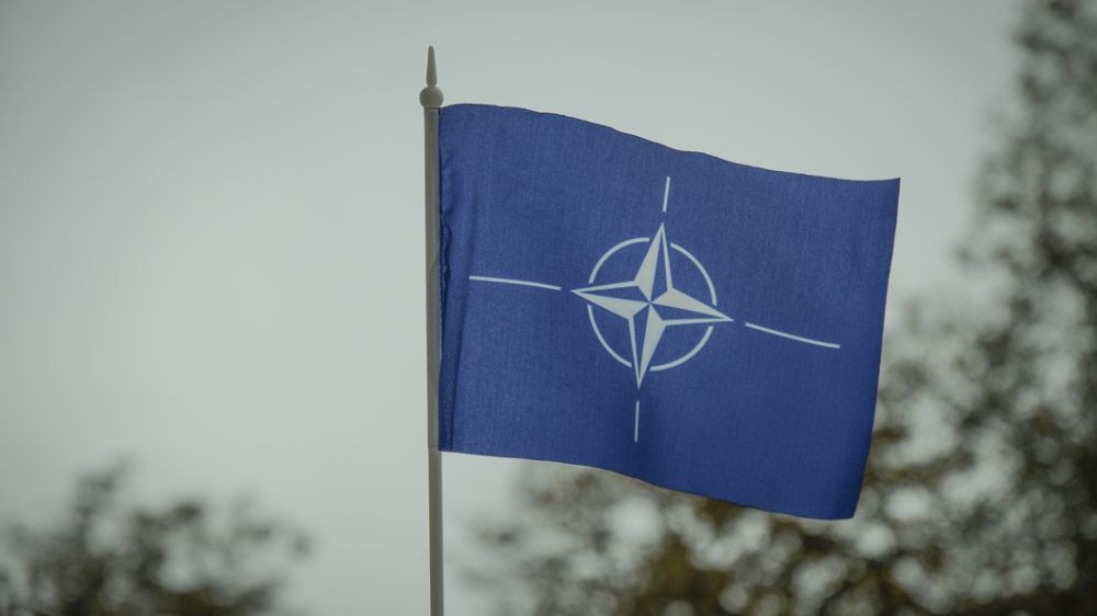 Выборы в России задели представителя НАТО за живое