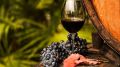 В тренде крымское и безалкогольное: эти вина ящиками увозят из Крыма