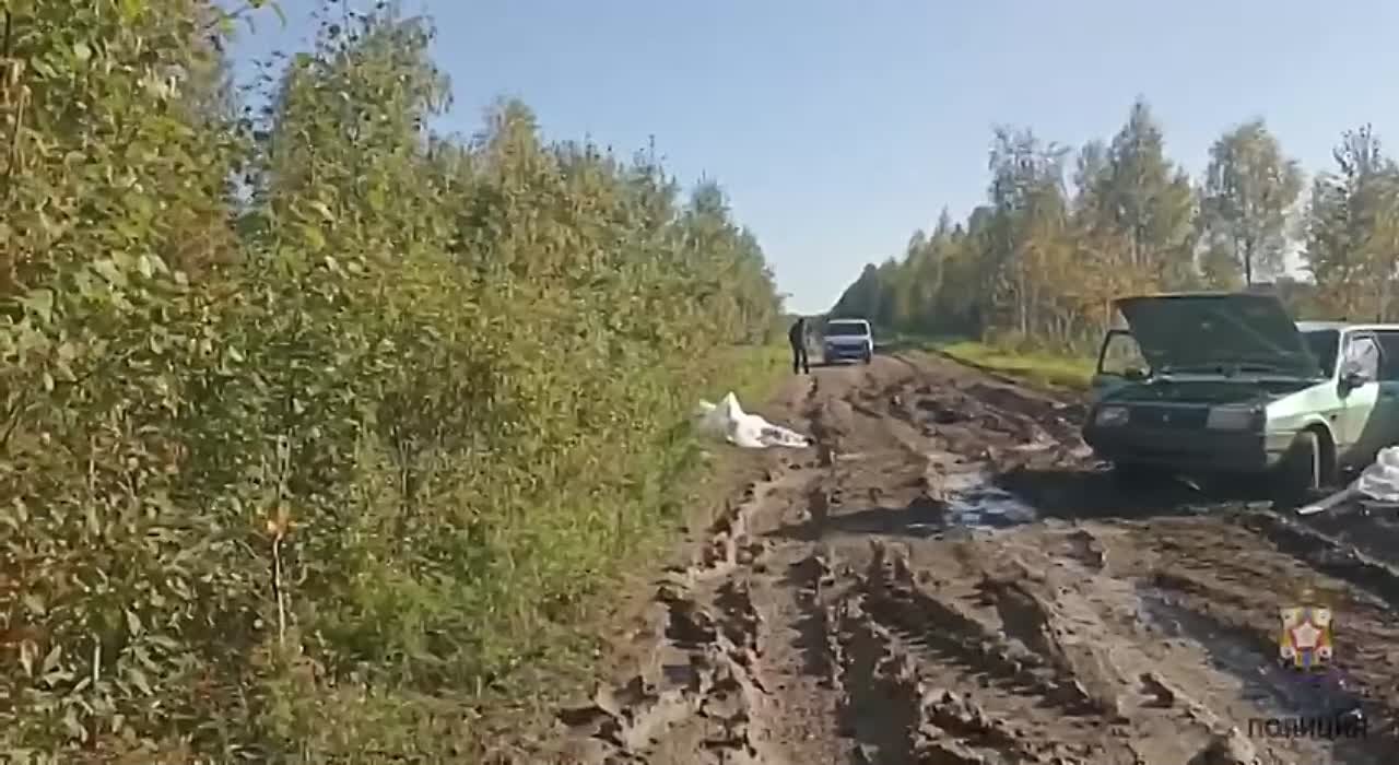 В Омской области мать с детьми утонула в машине - Лента новостей Крыма