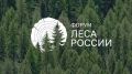 В Иркутске завершился форум «Леса России»