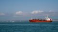 Морем и сушей: как крымская продукция уходит на экспорт