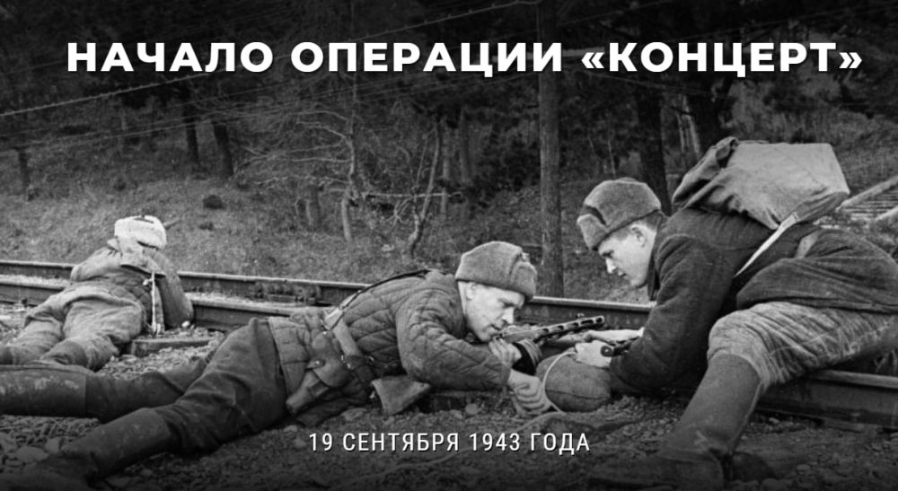 Масштабная партизанская операция. Партизанские операции. Партизанская операция концерт.