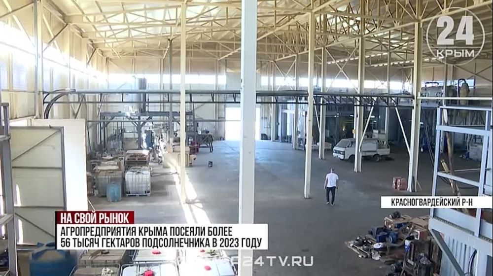 В этом году производители подсолнечного масла в Крыму наращивают объёмы продукции
