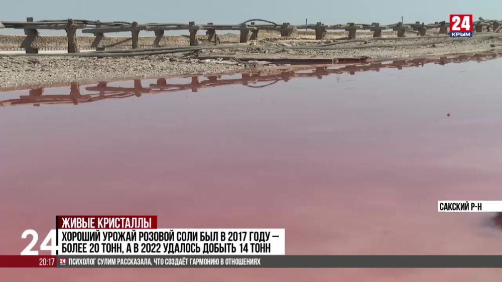 Розовую соль собирают на озере Сасык-Сиваш с помощью раритетного комбайна 1960 года