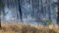 На территории Бахчисарайского лесничества ликвидирован низовой пожар