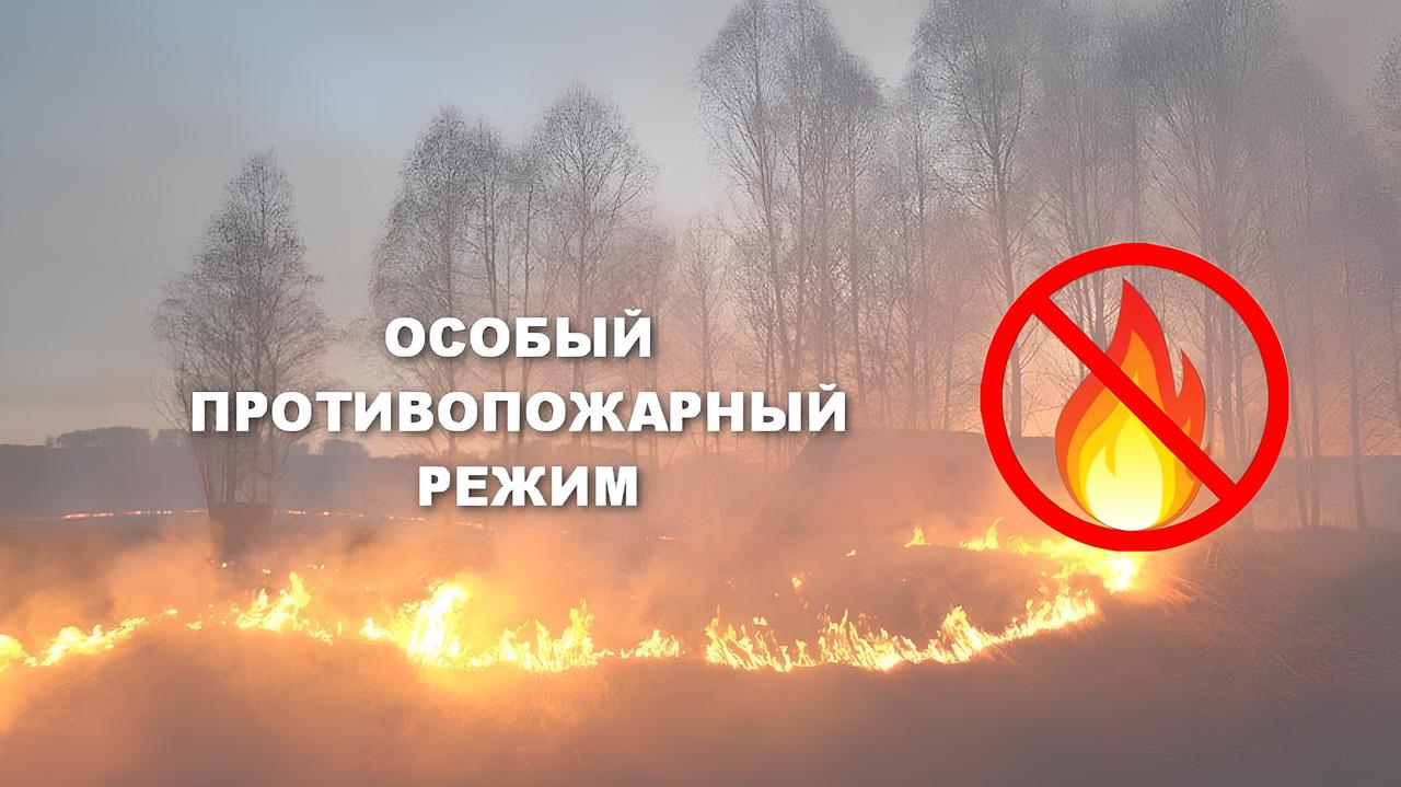 В Крыму продолжает действовать особый противопожарный режим - Лента  новостей Крыма