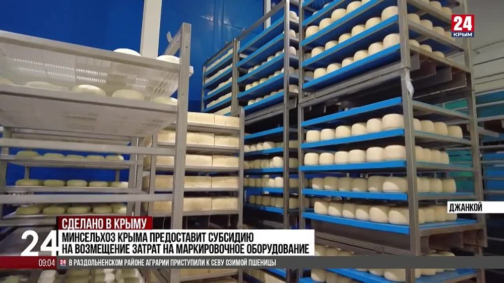 Около 1,8 тысяч тонн сыра молокоперерабатывающие предприятия изготовили в Крыму за полгода