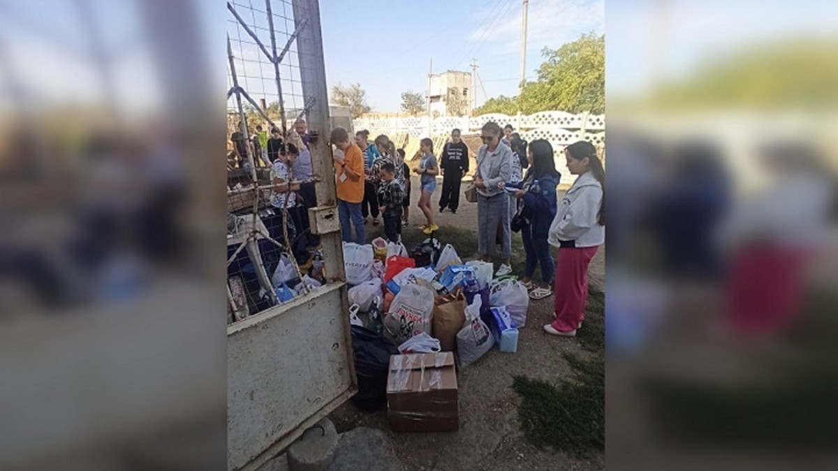 В Керчи школьники собрали гуманитарную помощь для бездомных животных -  Лента новостей Крыма