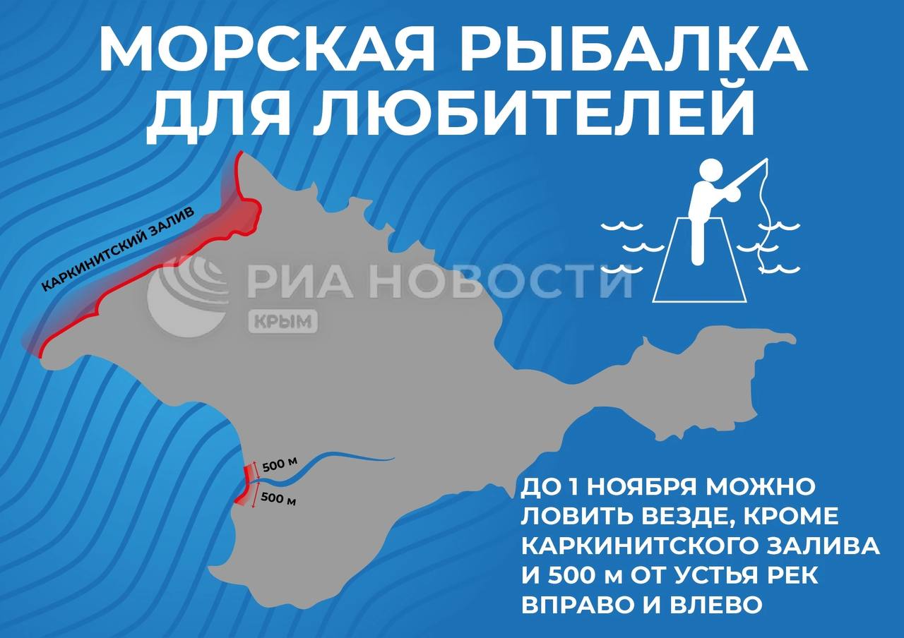 Как правильно ловить рыбу в Крыму осенью? - Лента новостей Крыма