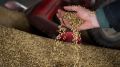 В США наконец признали: альтернативы зерновой сделке быть не может