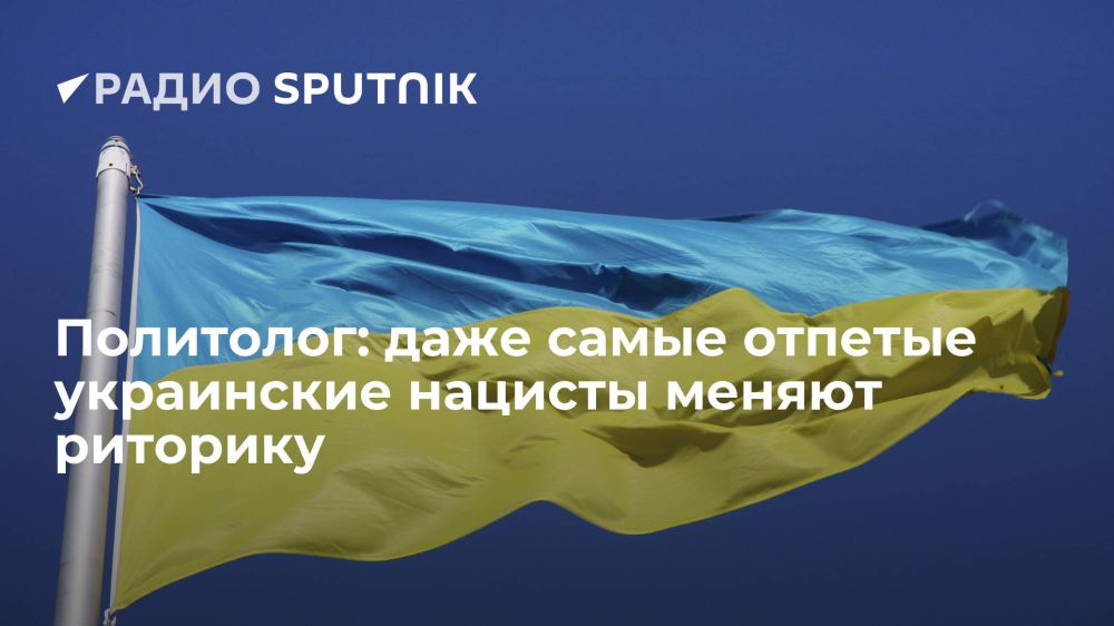  :    ,     ,   