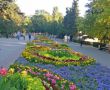 Юные севастопольцы смогут стать дизайнерами и оформить цветочные клумбы Севастополя в 2024 году