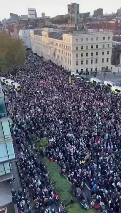 Александр Овдиенко: Масштабный митинг в поддержку сектора Газа прошёл у штаб-квартиры британской разведки MI6 в Лондоне