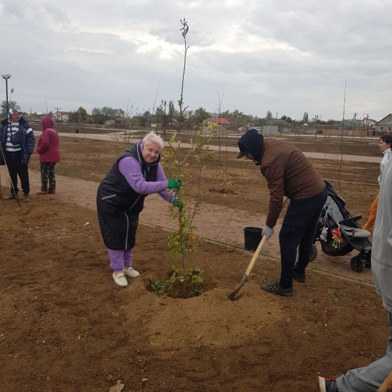 Сегодня, 11 ноября 2023 года в поселке Раздольное продолжилась осенняя высадка деревьев в парке культуры и отдыха, в рамках акции «Посади свое дерево»