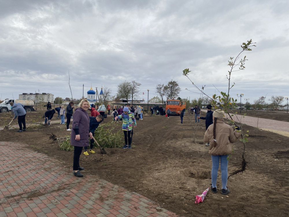 Сегодня, 11 ноября 2023 года в поселке Раздольное продолжилась осенняя высадка деревьев в парке культуры и отдыха, в рамках акции «Посади свое дерево»