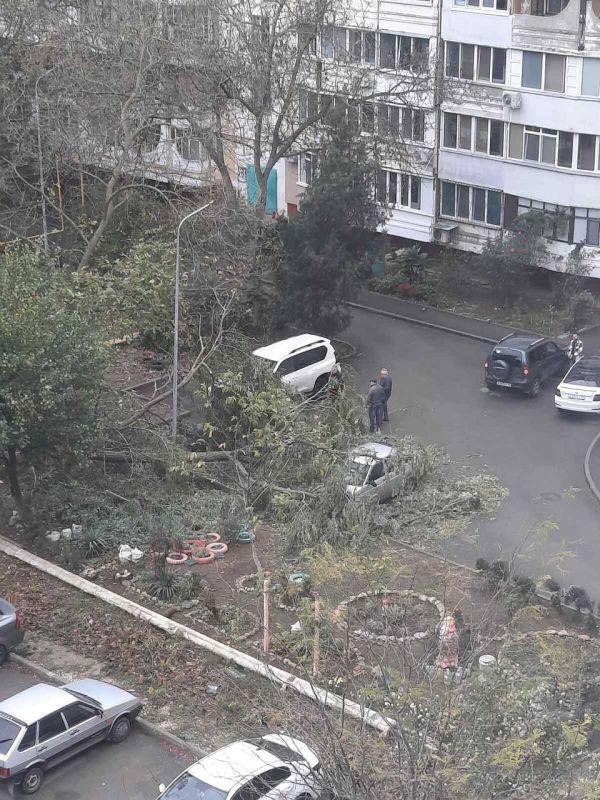 Непогода в Керчи: большое дерево упало на машины в одном из дворов