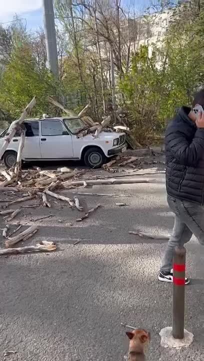 В Симферополе сотрудники МБУ "Город" устраняют последствия сильнейшего штормового ветра, который ломал ветки и с корнями выдирал некоторые деревья