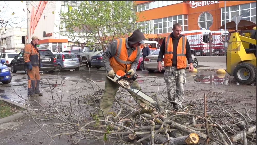 В Симферополе 35 единиц техники убирают упавшие деревья после штормового ветра