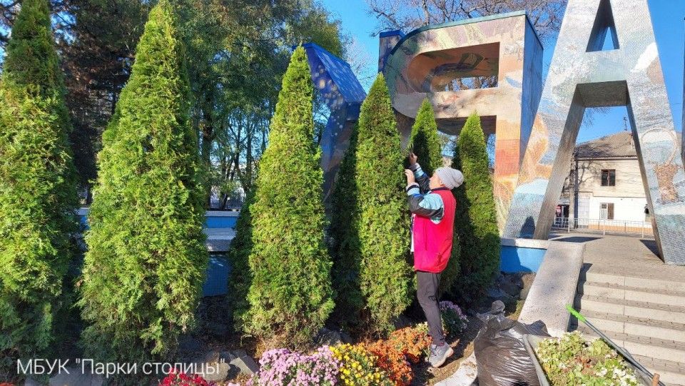В Детском парке Симферополя почистили хвойные растения