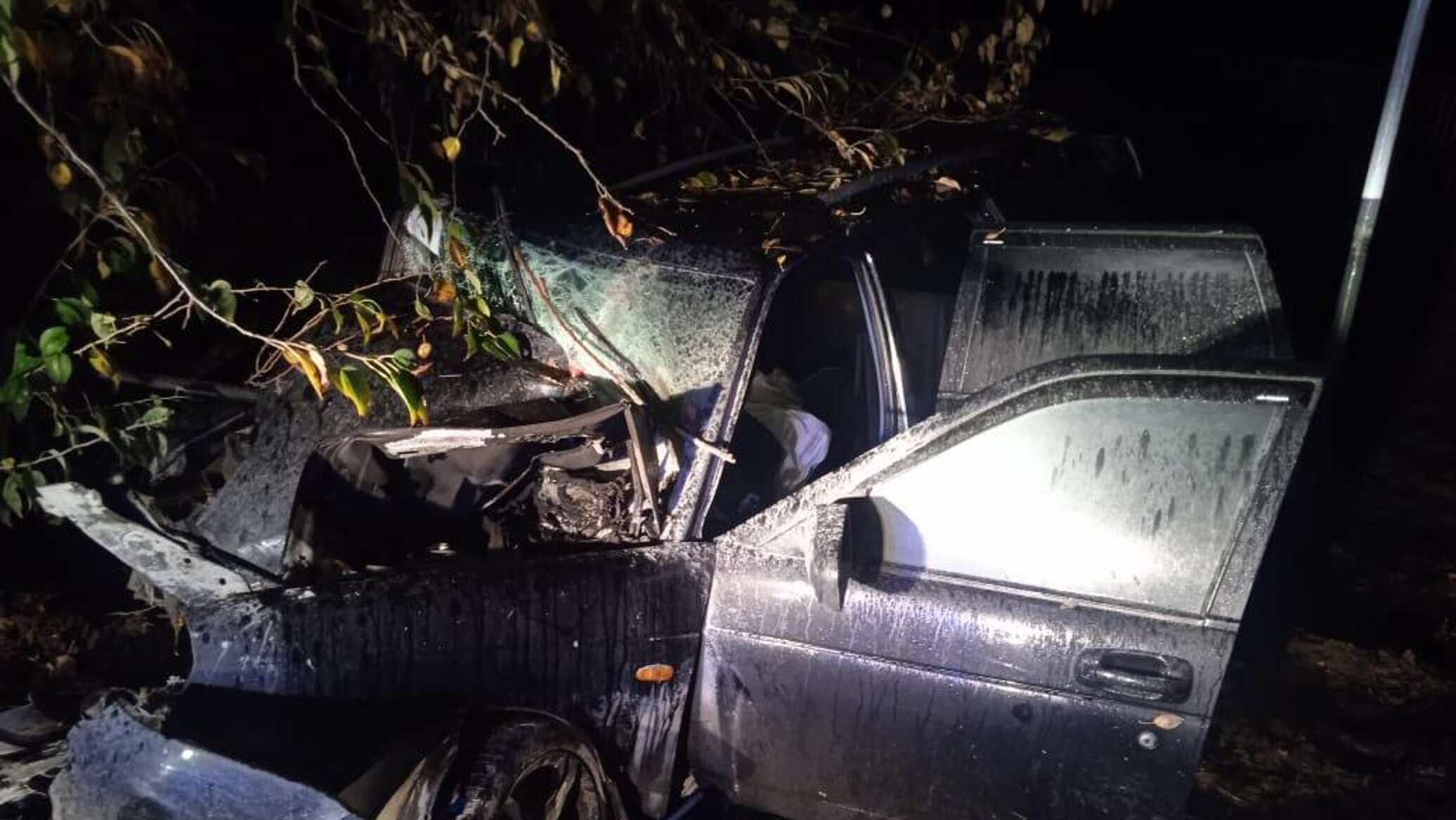 Водитель Lada слетел в кювет и врезался в дерево в Коктебеле - Лента  новостей Крыма