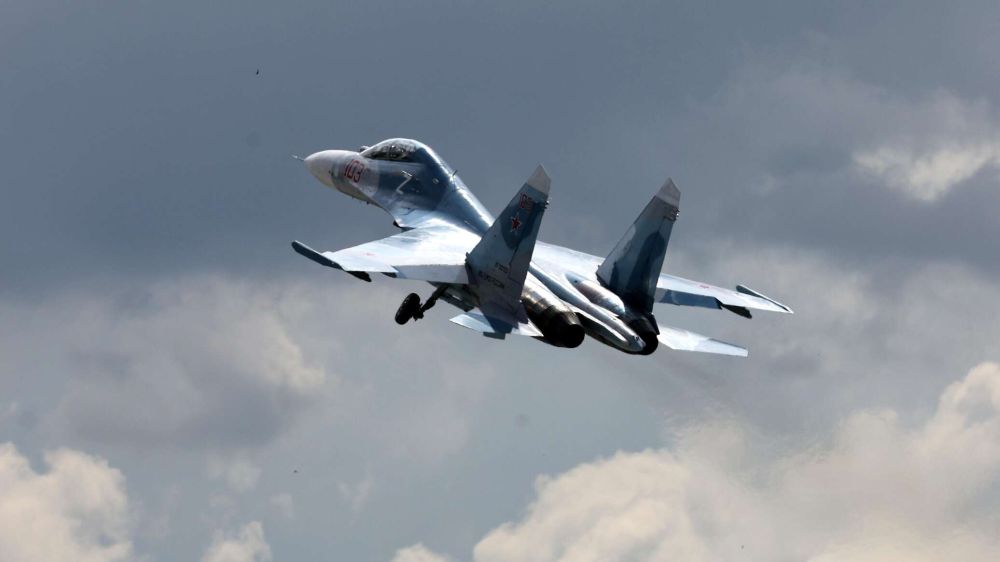 Российские истребители сбили вражеский МиГ-29 над Донбассом