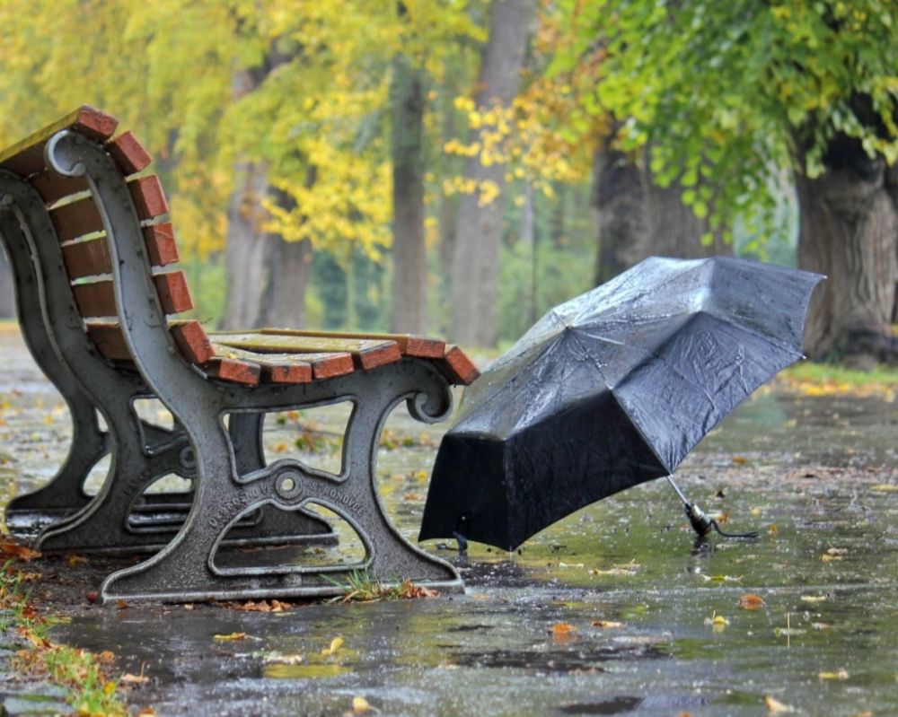Погода на 16 ноября: в Севастополе и Крыму продолжаются дожди