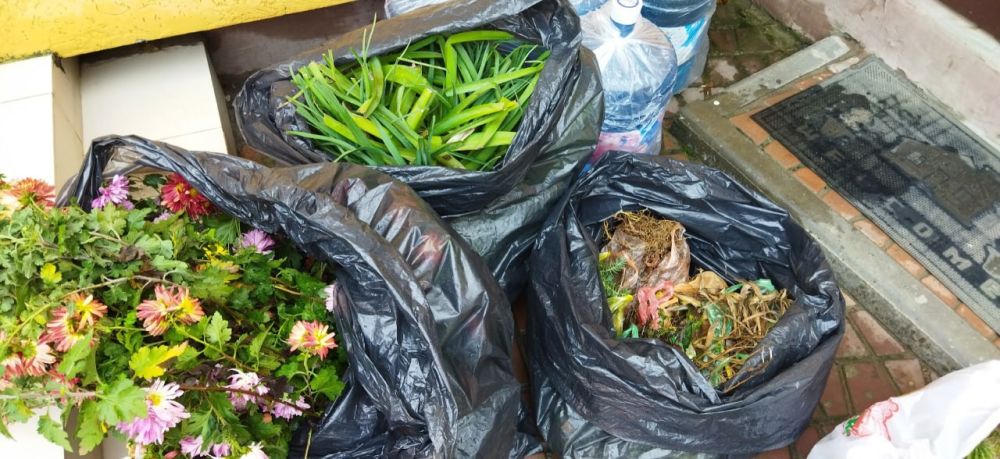 Керченские волонтеры собирают растения для школы-интерната