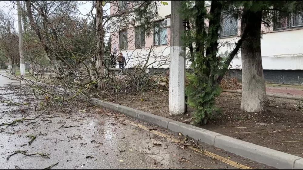 Вырванные ветром деревья лежат около городской больницы Керчи