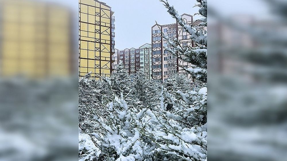 «Создает новогоднее настроение»: завораживающие кадры первого снега в Крыму
