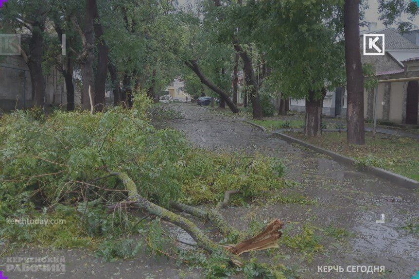 За прошедшую ночь в Керчи добавилось семь поваленных деревьев