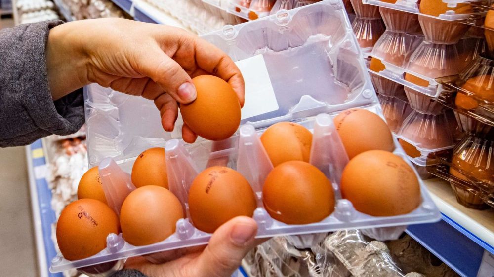 Рост цен на куриный яйца: в Крыму нашли решение