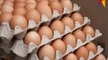 В декабре яйца С3 в Крыму будут стоить менее 100 рублей