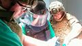 Российские военные медики спасли бойца, в теле которого застрял вражеский боеприпас