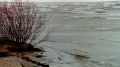 Сумма ущерба от урагана в Крыму возросла почти до 40 млрд рублей