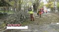 В Евпатории и Феодосии специальные комиссии оценивают ущерб, который нанёс ураган
