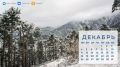 Завтра - зима!. Сохраняйте наши календари для гаджетов, чтобы красиво и продуктивно провести последний месяц этого года! Больше красивых календарей в хорошем качестве - в комментариях