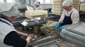 Крым будет поставлять рыбные консервы в Закавказье и Среднюю Азию