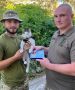 "Бойцовые коты" Украины получают награды на фронте
