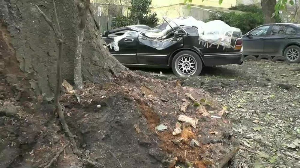 Эксклюзивный ретро-автомобиль пострадал в результате падения дерева в Симферополе Сумму ущерба оценить невозможно