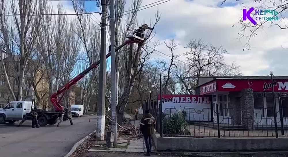 Непогода прошла - работы продолжаются: в Керчи ликвидируют аварийные деревья