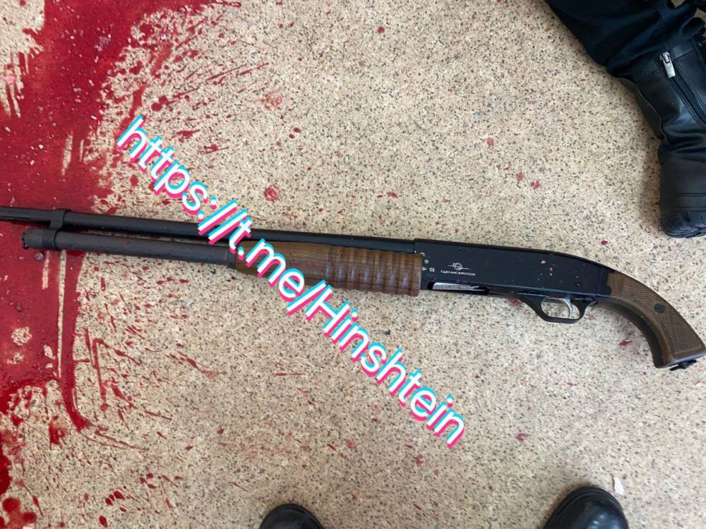 Депутат Госдумы Хинштейн опубликовал фото оружия, из которого устроила стрельбу школьница