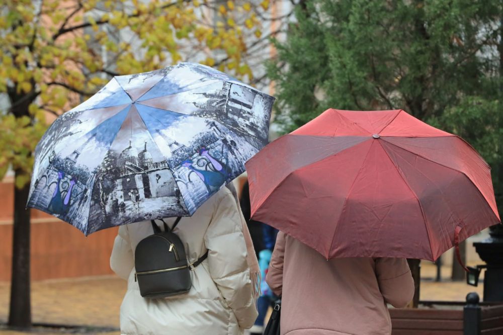 Погода в Крыму 7 декабря: дождь, днём до +10
