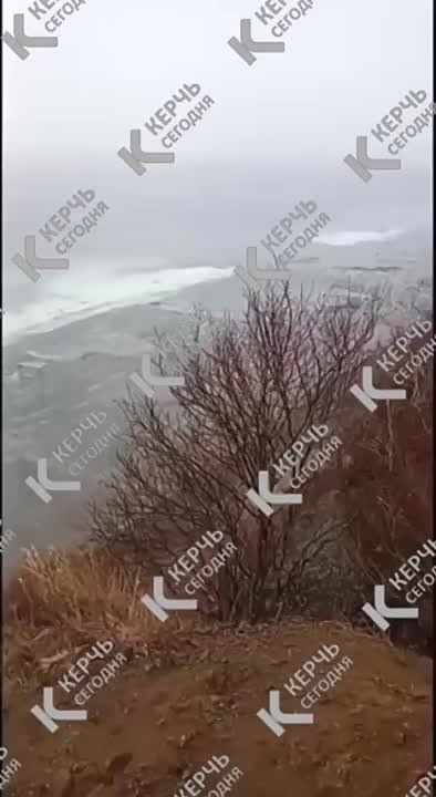Вот это рыбалка!. Керчане прислали в нашу редакцию видео, снятое на Сахалине. Тихоокеанская сельдь пришла на нерест к...
