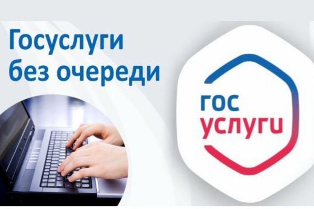Госуслуги логотип без фона. Госуслуги логотип. Госуслуги. Госуслуги которые можно получить. Приложение госуслуги.
