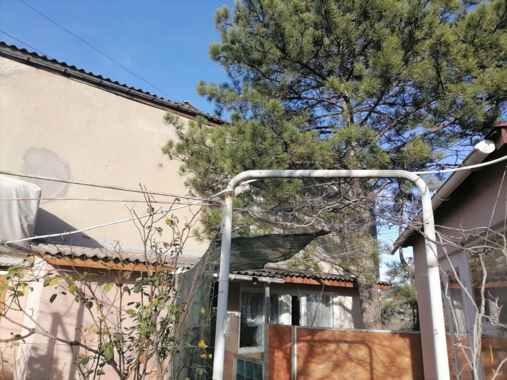 ������������ ������ �� �������� ������� �������� ���������� ������� ������� ���� �� ����� ������, 7�