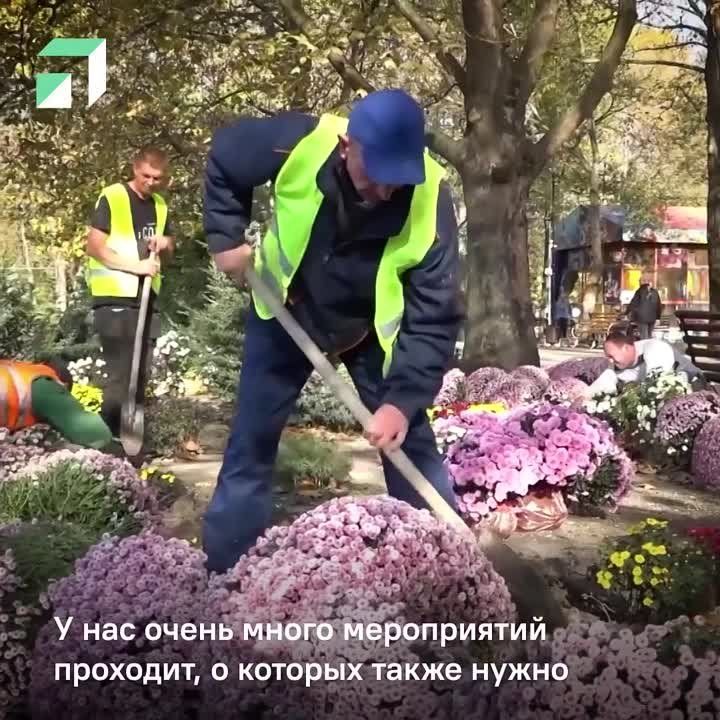 Ведение госпабликов