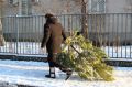 Парк «Тайган» нашёл полезный способ утилизации новогодних елок
